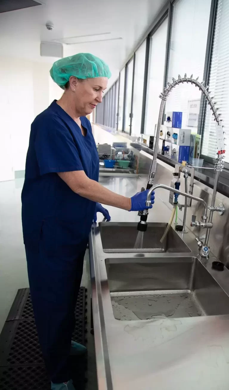sterilising equipment sterilisation